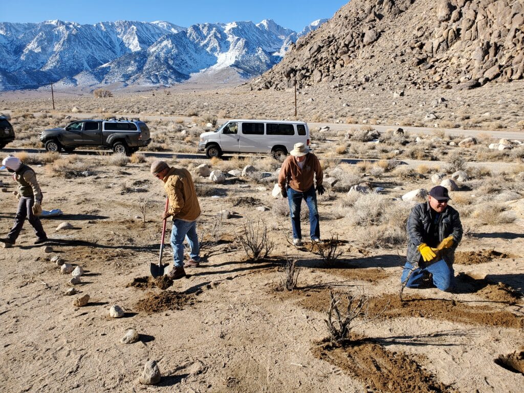Tread Lightly Impact Report: Alabama Hills Day Use Area Improvement Project 20220108 094655 1024x768