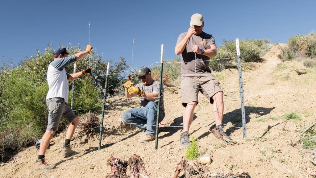 Tread Lightly Impact Report: Love Your Land 2022: Project 1 by Rigged for Dirt WyOiydtg 1024x577