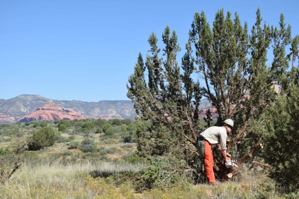 <strong>Tread Lightly! Impact Report:</strong> Outlaw Trail Rehabilitation Project 5W LFdo 1024x682