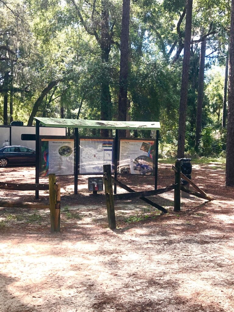 Nbhf5Y K 768x1024