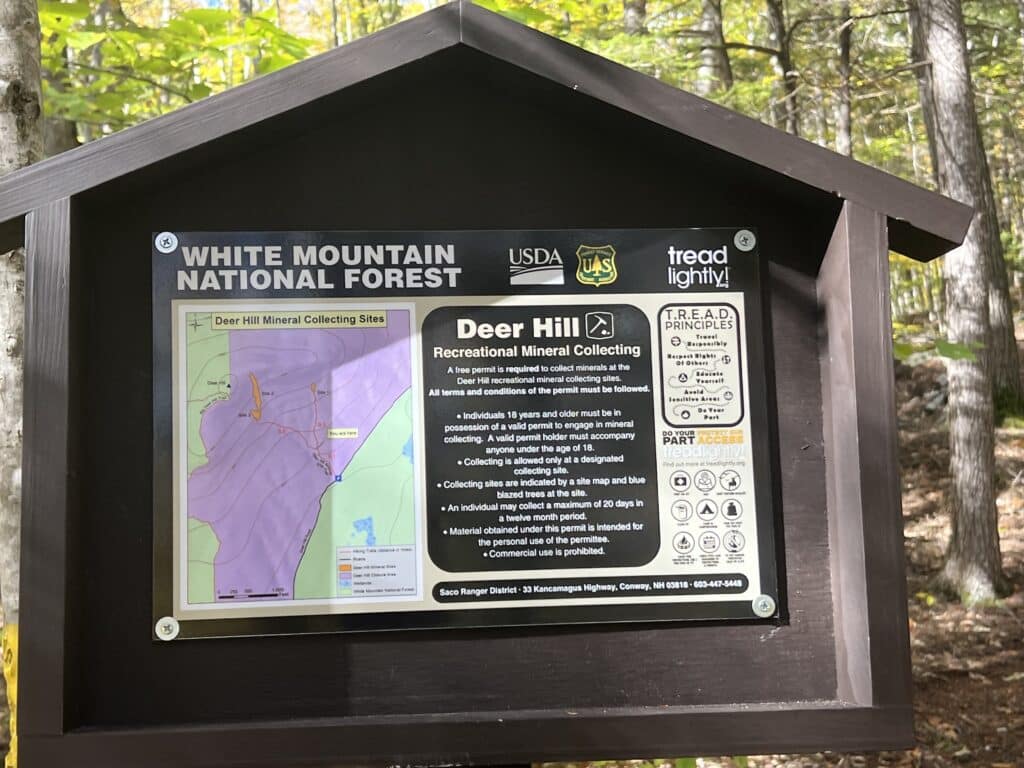 <strong>Quadratec 50 for 50 Impact Report: </strong>White Mountain National Forest Improvement Project: Maine<strong></strong> IMG 8032 1024x768