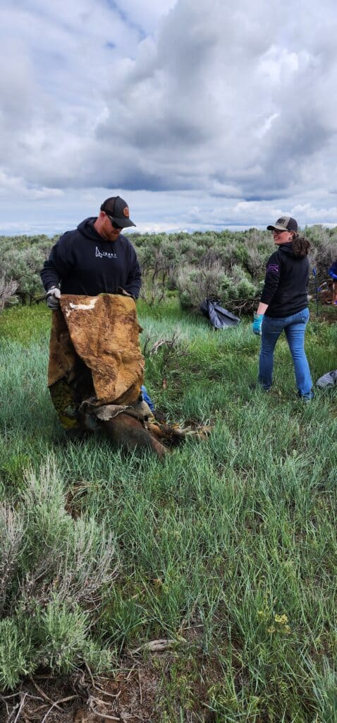 Tread Lightly! Impact Report: Market Lake Cleanup 20230603 100627 478x1024