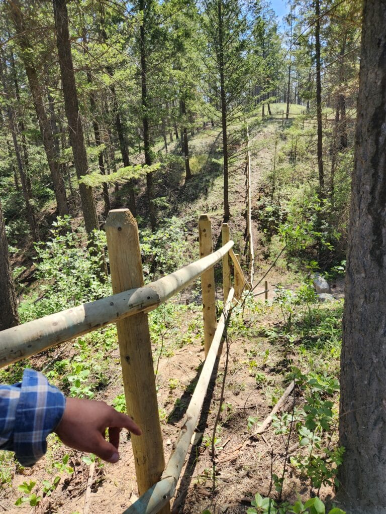 Tread Lightly! Impact Report: Rat Springs Historical Site Protection 20230607 110945 768x1024