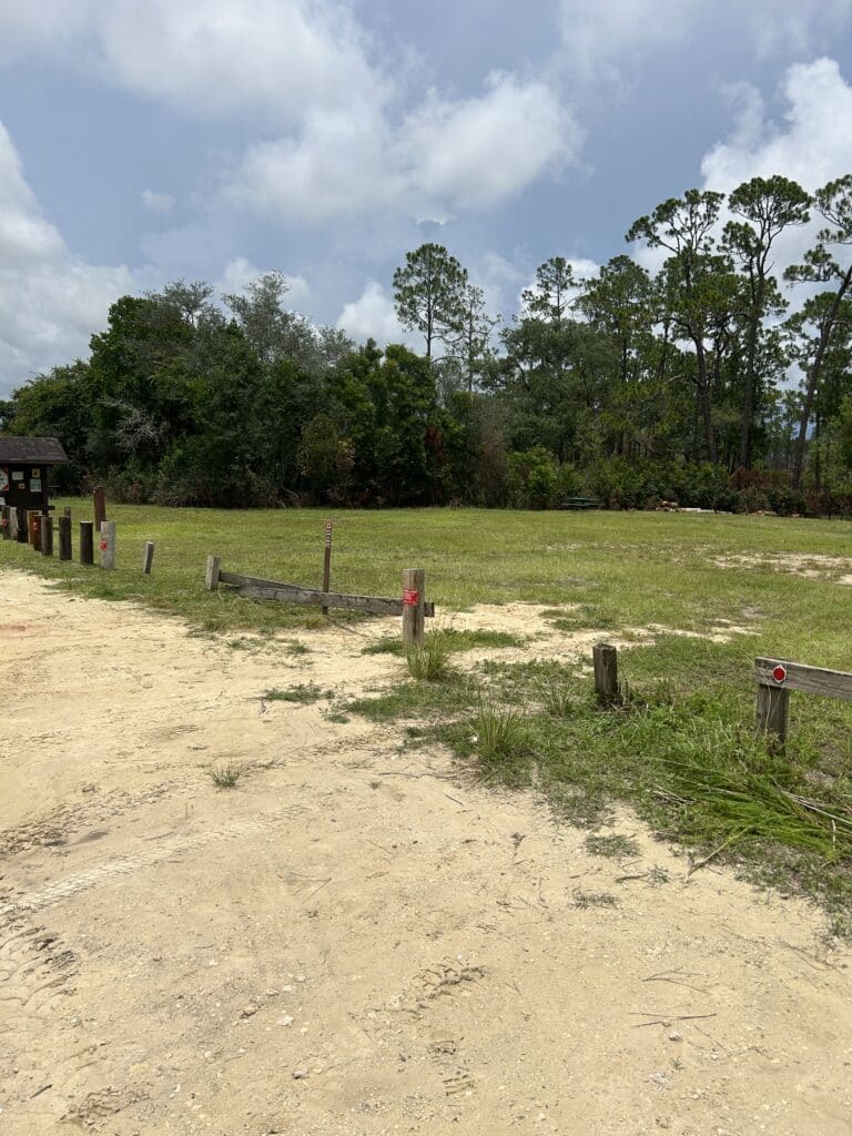 Tread Lightly! Impact Report: Ocala National Forest Farles Prairie Cleanup and Restoration IMG E2114 768x1024