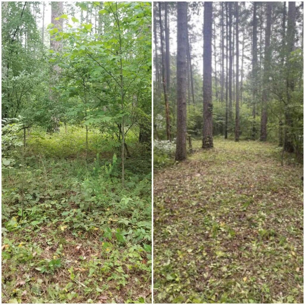 IMG 20230719 193057 1024x1024