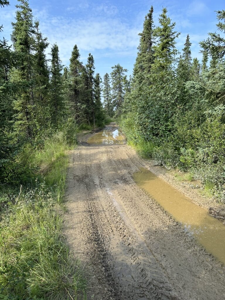 Standing Water On The Trail Before Work 768x1024