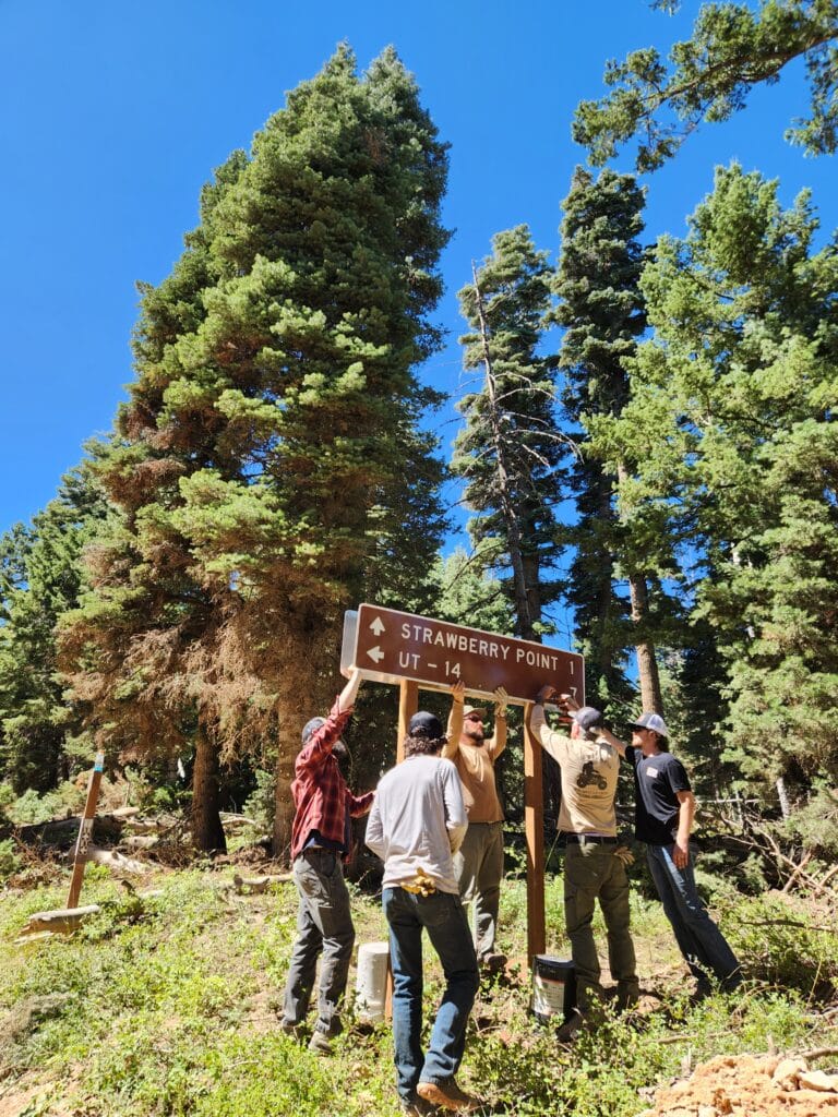 Tread Lightly! Impact Report: Strawberry Valley Trail Sign Project 20230907 132628 768x1024