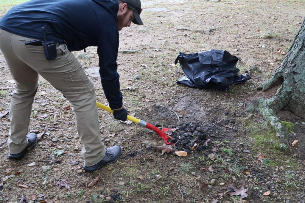 Tread Lightly! Impact Report: Cockaponset State Forest National Public Lands Day Cleanup Unnamed 8 1024x683