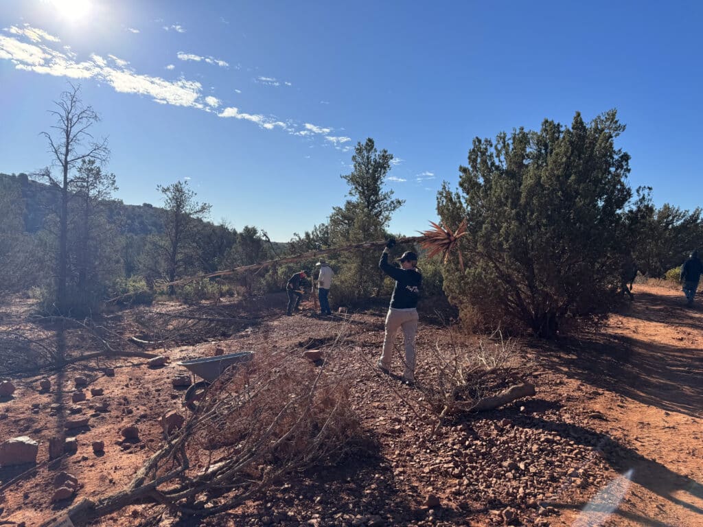 IMG 1984 1024x768