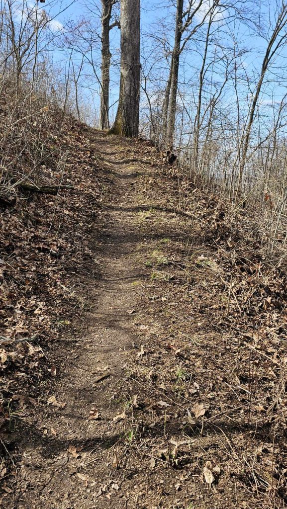 Tread Lightly! Impact Report: Shawnee National Forest Eclipse Vista Improvement Received 1067317927692621 577x1024