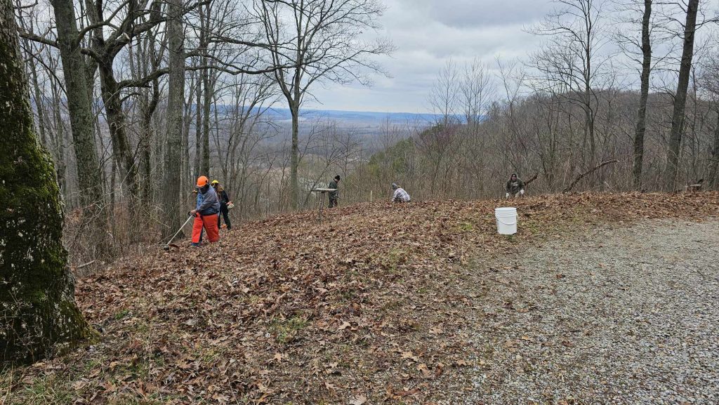 Tread Lightly! Impact Report: Shawnee National Forest Eclipse Vista Improvement Received 3644715412484083 1024x577