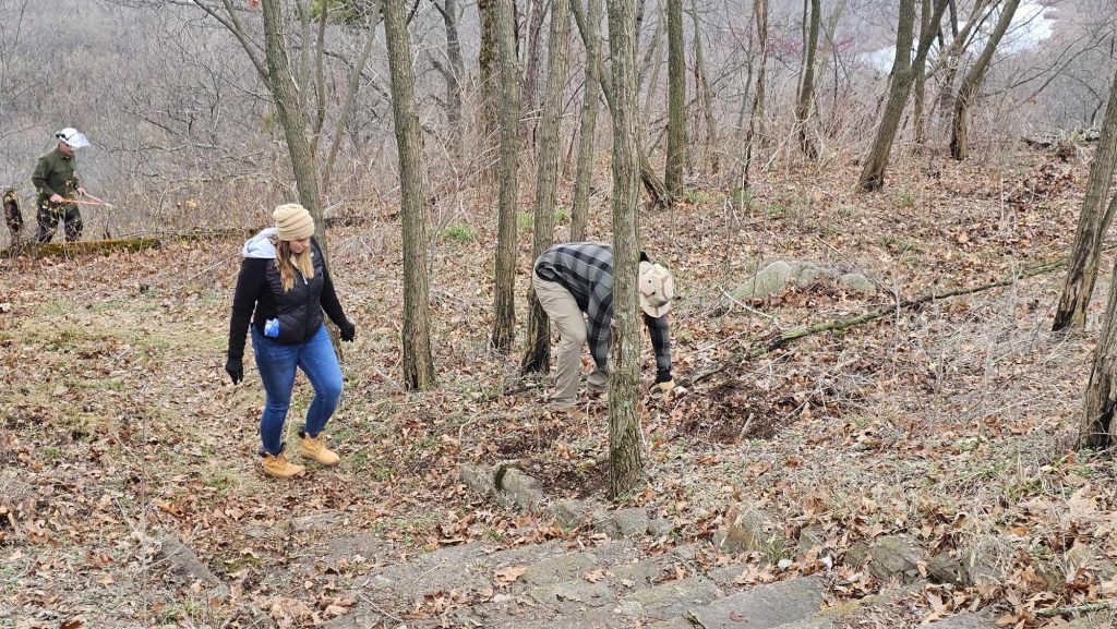 Tread Lightly! Impact Report: Shawnee National Forest Eclipse Vista Improvement Received 715194290745705 1024x577