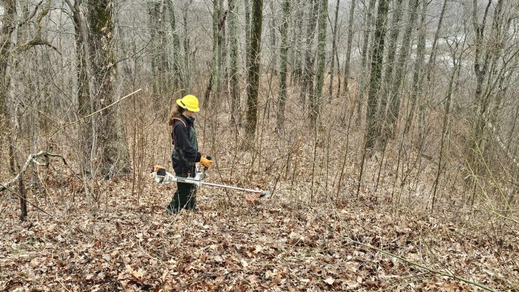 Tread Lightly! Impact Report: Shawnee National Forest Eclipse Vista Improvement Received 817776633513109 1024x577