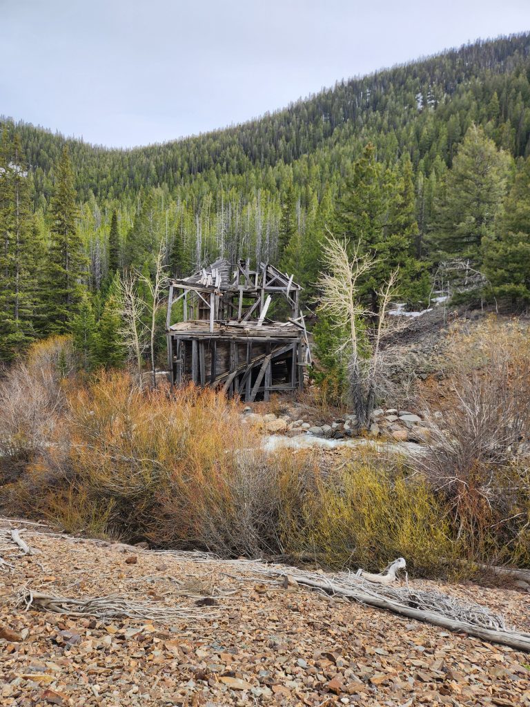 Tread Lightly! Impact Report: Pennal Gulch Cleanup 20240518 174207 768x1024