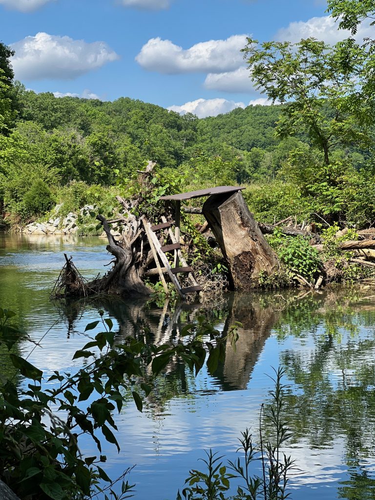 Tread Lightly! Impact Report: Hickman County Cleanup with Bridgestone Americas IMG 3696 768x1024