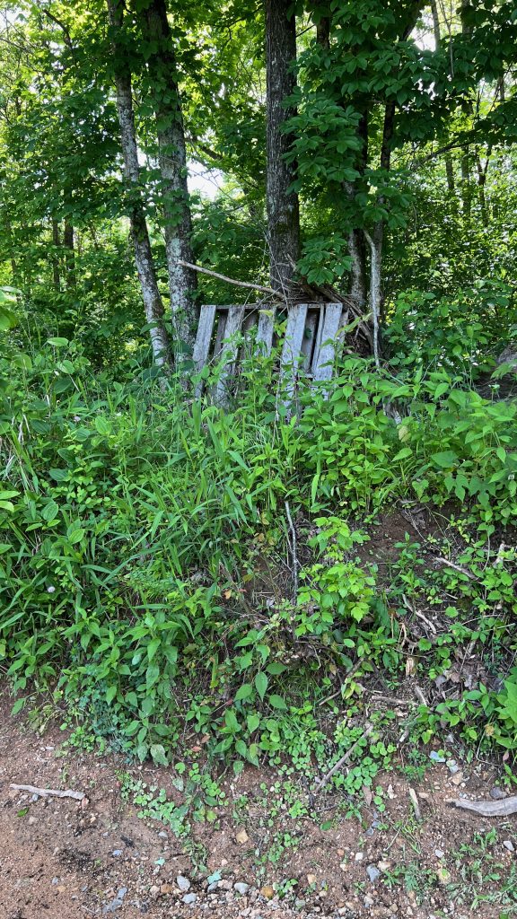 Tread Lightly! Impact Report: Hickman County Cleanup with Bridgestone Americas IMG 3698 576x1024