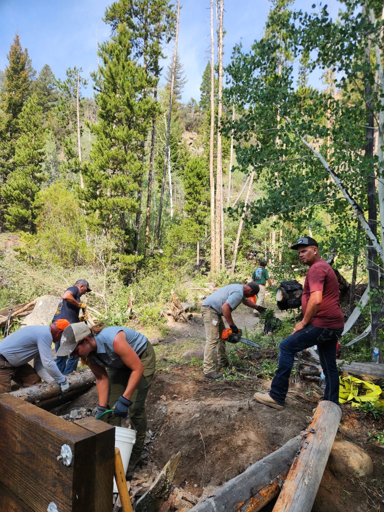 Tread Lightly! Impact Report: North Fork Big Creek Bridge Project 20240803 103053 768x1024