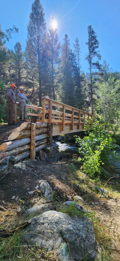 Tread Lightly! Impact Report: North Fork Big Creek Bridge Project 20240804 103620 473x1024