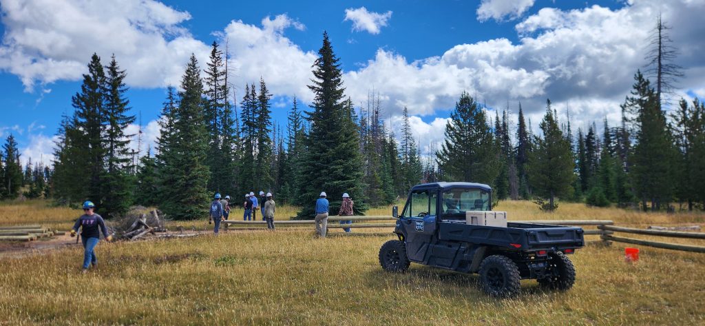 Tread Lightly! Impact Report: Cold Springs Trail Maintenance 20240824 113249 1 1024x473