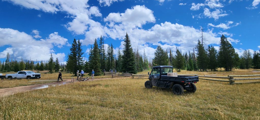 Tread Lightly! Impact Report: Cold Springs Trail Maintenance 20240824 120348 1024x473