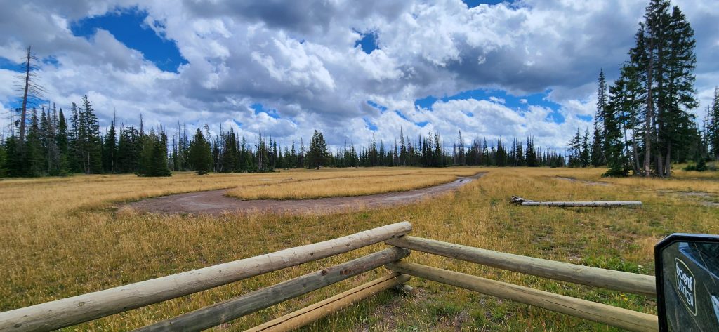 Tread Lightly! Impact Report: Cold Springs Trail Maintenance 20240824 124744 1024x473