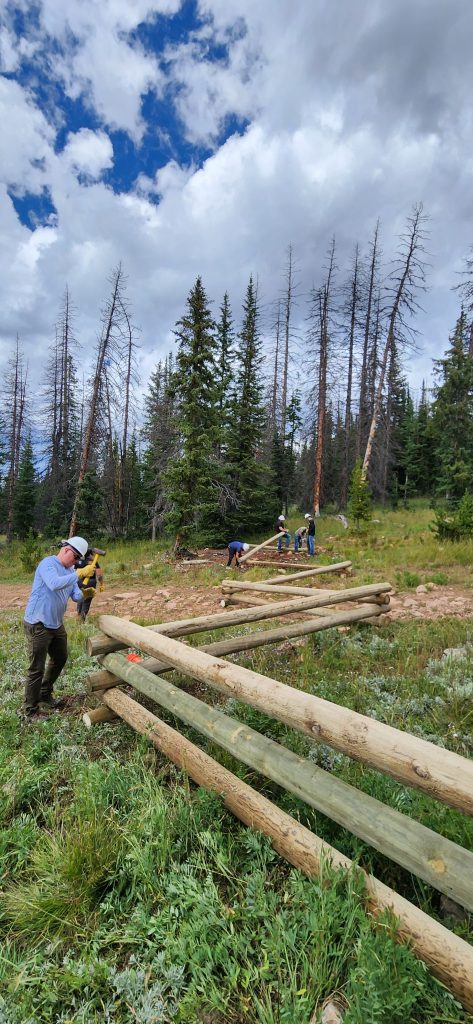 Tread Lightly! Impact Report: Cold Springs Trail Maintenance 20240824 134843 473x1024