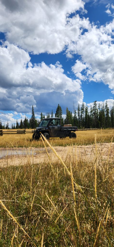 Tread Lightly! Impact Report: Cold Springs Trail Maintenance 20240824 154606 473x1024