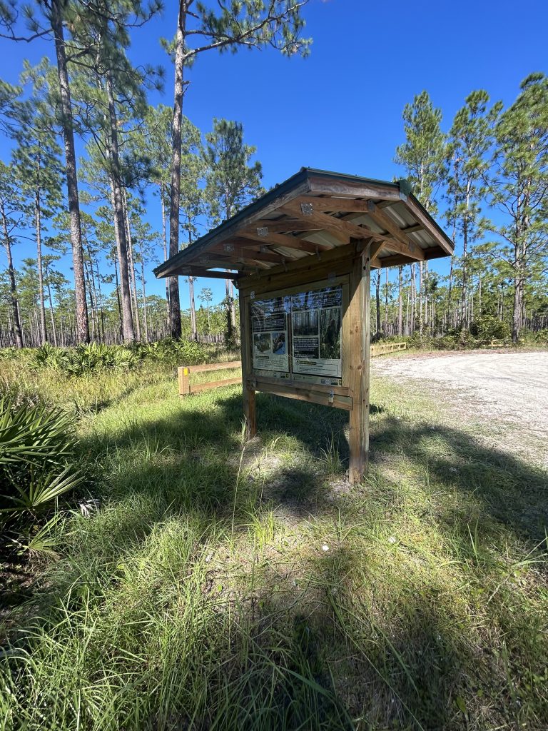 Tread Lightly! Impact Report: Osceola National Forest Kiosk and Sign Installation: Skinny Dip and Swarthout OHV Trailheads Kiosk Swarthout Back Far 768x1024