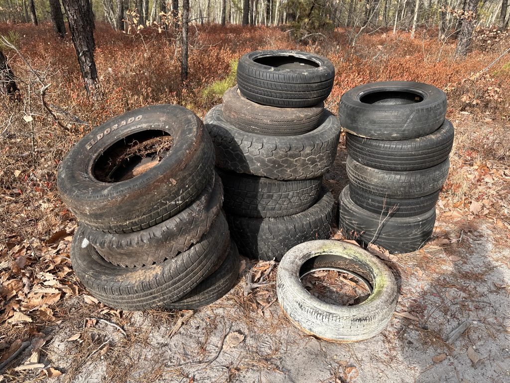 Tread Lightly Impact Report: Brendan T. Byrnes State Forest Cleanup IMG 0795 1024x768