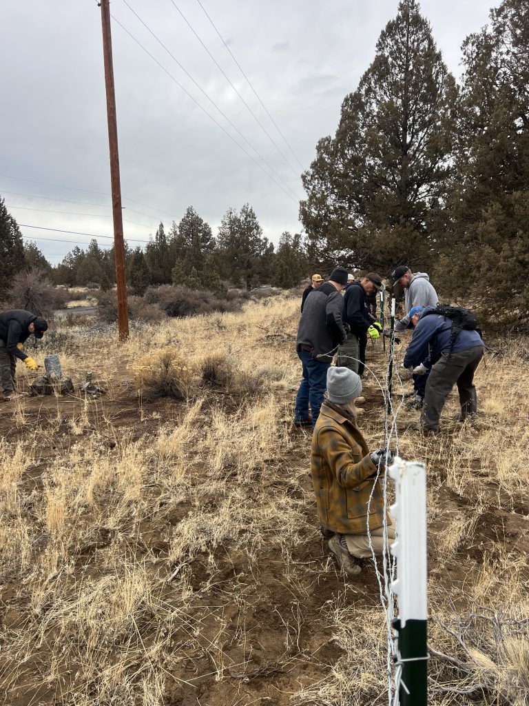 Tread Lightly! Impact Report: Buckhorn OHV Fence Repair IMG 2003 768x1024