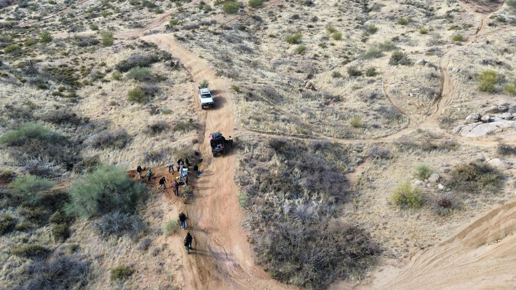 Tread Lightly! Impact Report: Wildcat Fire Restoration Project 475021598 10231040821037143 5501128084303686784 N 1024x576