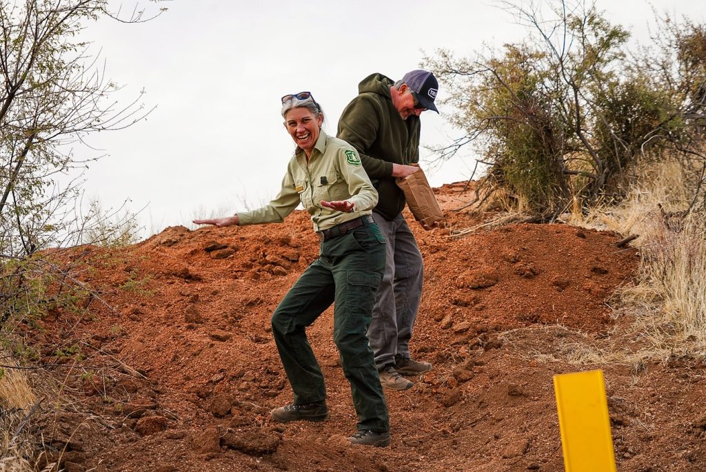 Tread Lightly! Impact Report: Wildcat Fire Restoration Project 475462309 18034886489452719 3043693274609446914 N 1024x685