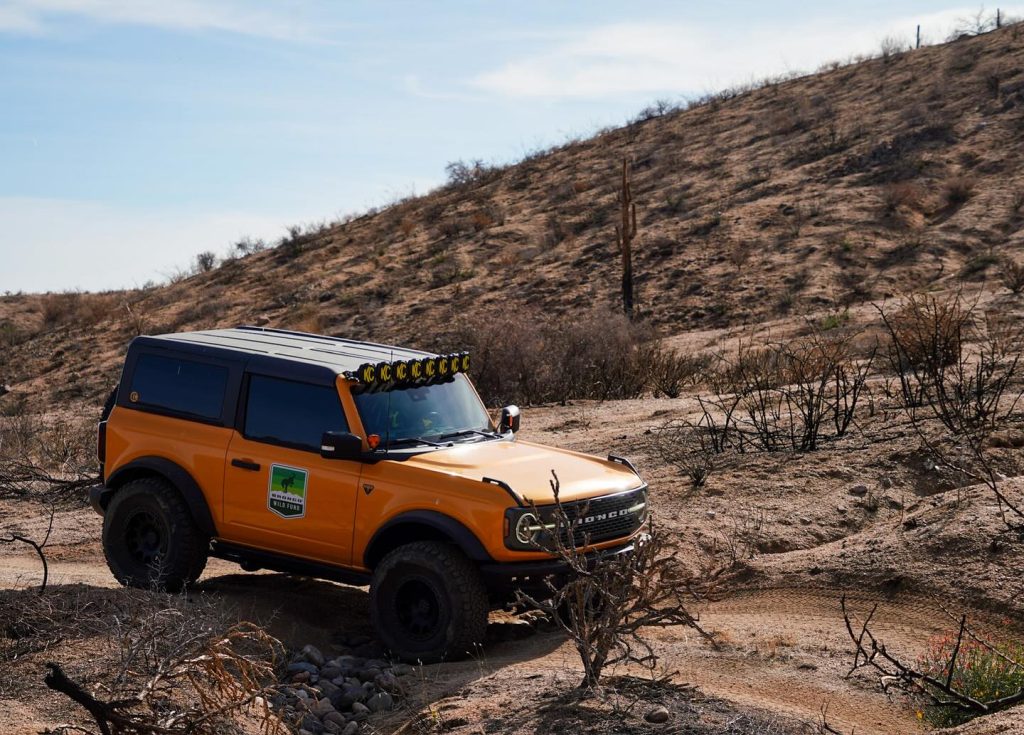 Tread Lightly! Impact Report: Bronco Wild Fund Planting Day and Trail Run 476141312 18490088611057776 8829544806907803226 N 1024x735