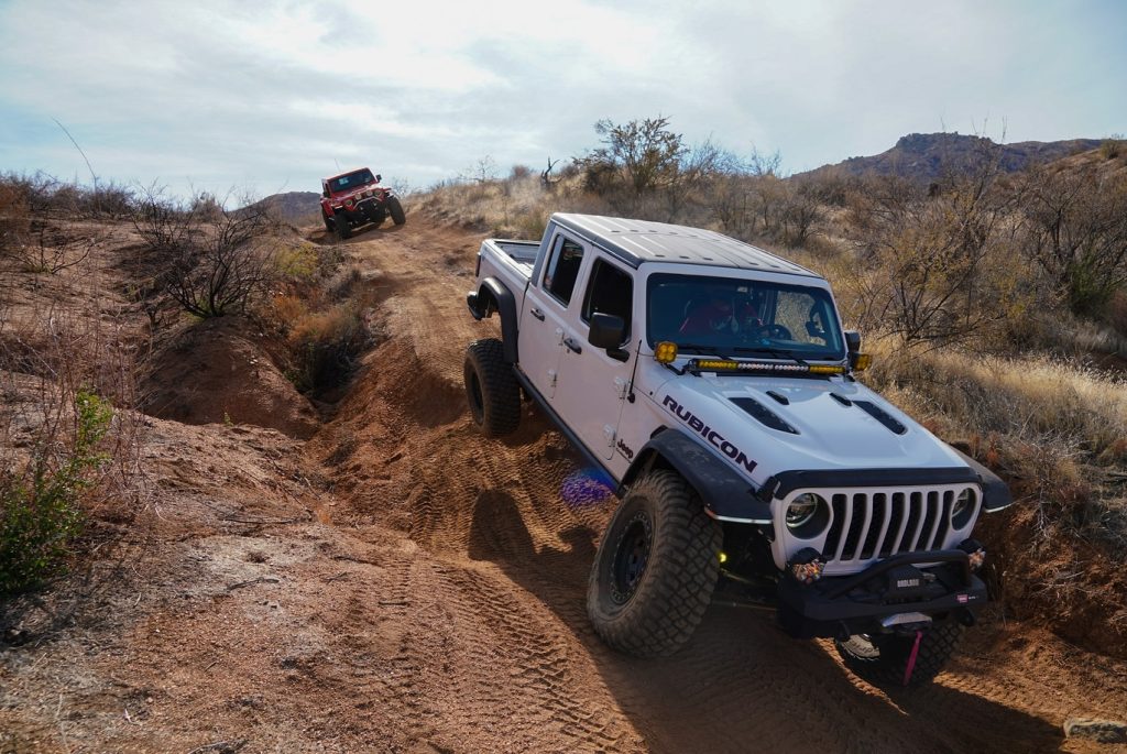 Tread Lightly! Impact Report: Bronco Wild Fund Planting Day and Trail Run 476352267 18035541851452719 3391419717684198308 N 1024x685
