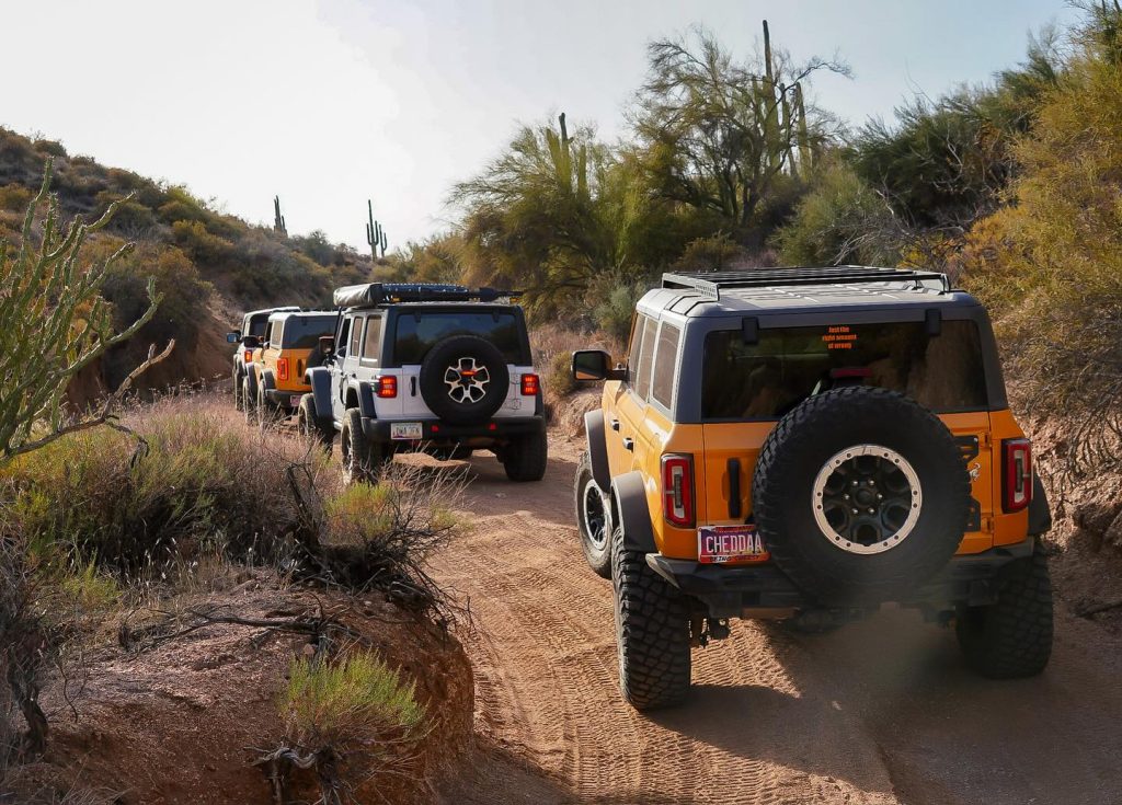 Tread Lightly! Impact Report: Bronco Wild Fund Planting Day and Trail Run 476365212 18490088638057776 4090629918899130866 N 1024x735