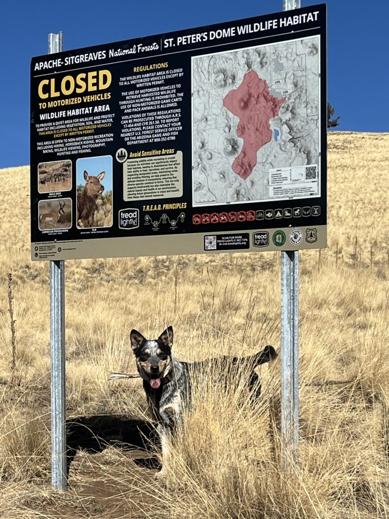 Tread Lightly! Impact Report: St Peter's Dome Wildlife Habitat Signage IMG 5069 768x1024