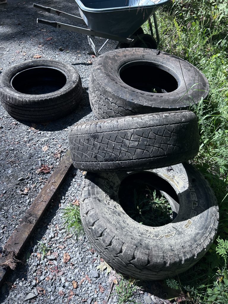 Tread Lightly! Impact Report: Venture Unknown Foundation: Sweep Up the Southeast IMG 6727 768x1024