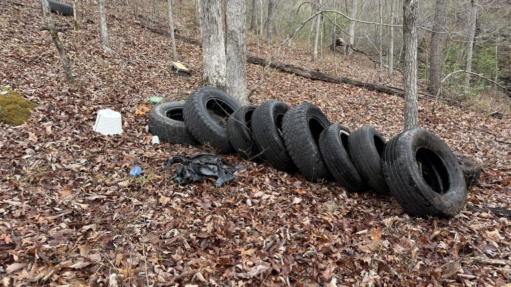 Tread Lightly! Impact Report: VA4WDA Earth Day Trail Maintenance Day Copy Of IMG 8607 1024x576