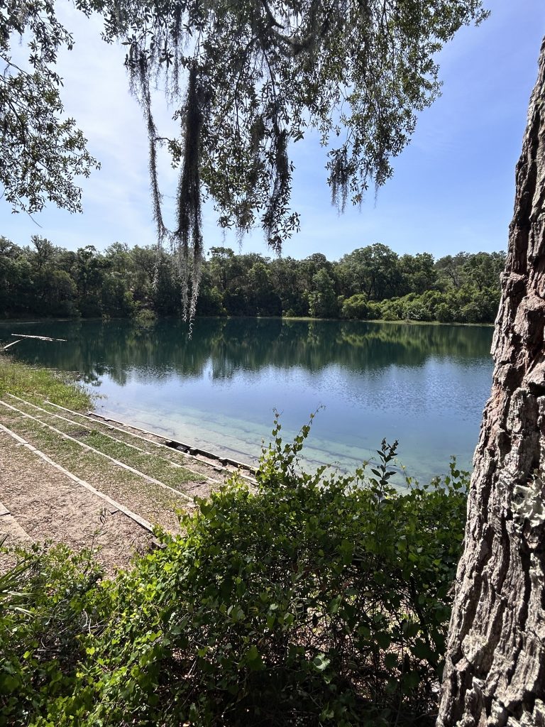 Tread Lightly! Impact Report: Ocala National Forest Blue Sink Clean and Krawl IMG 1857 768x1024