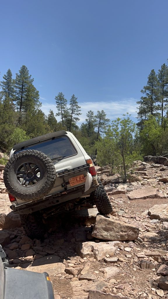 Tread Lightly! Impact Report: Pyeatt Draw Rake and Ride with Tonto Recreation Alliance IMG 9459 576x1024