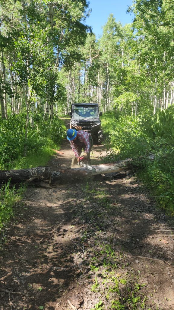 Tread Lightly! Impact Report: Hoyt Peak Opening Day 20250614 100243 577x1024