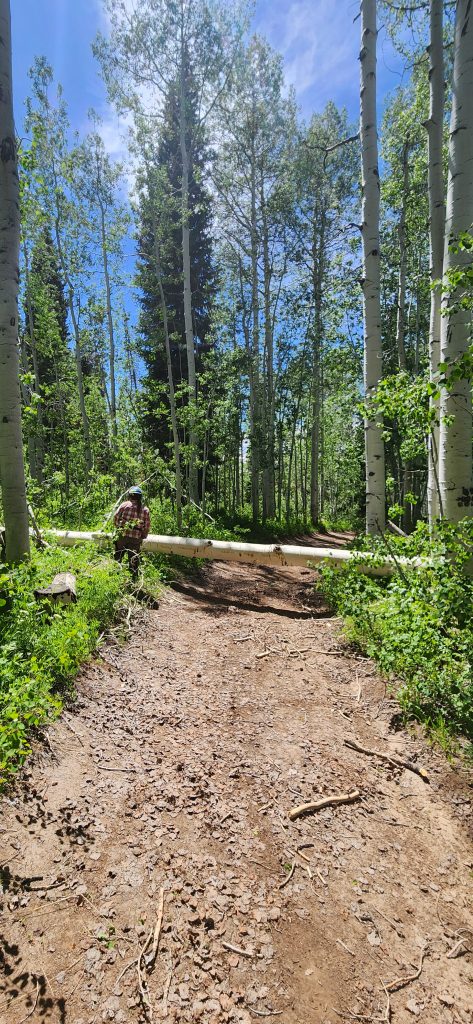 Tread Lightly! Impact Report: Hoyt Peak Opening Day 20250614 150745 473x1024