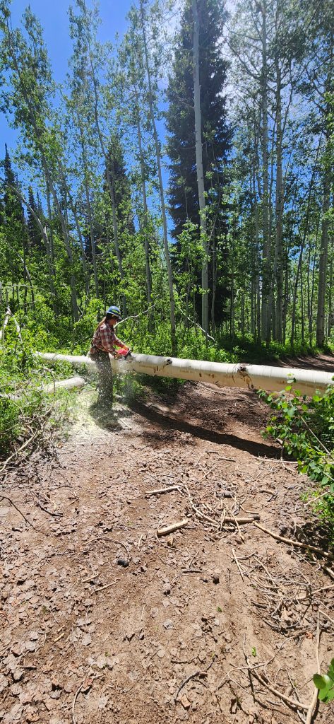 Tread Lightly! Impact Report: Hoyt Peak Opening Day 20250614 150913 473x1024