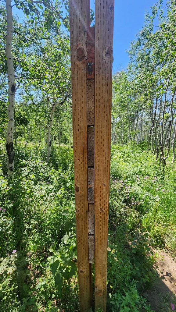 Tread Lightly! Impact Report: Hoyt Peak Maintenance Project Day 1 20250628 110553 577x1024 1